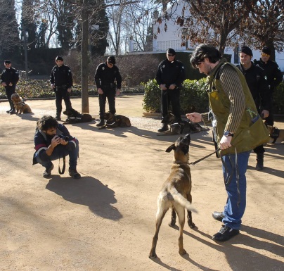 ©Ayto.Granada: TITULADOS EN VETERINARIA Y BIOLOGA ADQUIEREN FORMACIN PRCTICA EN LA UNIDAD CANINA DE LA POLICA LOCAL